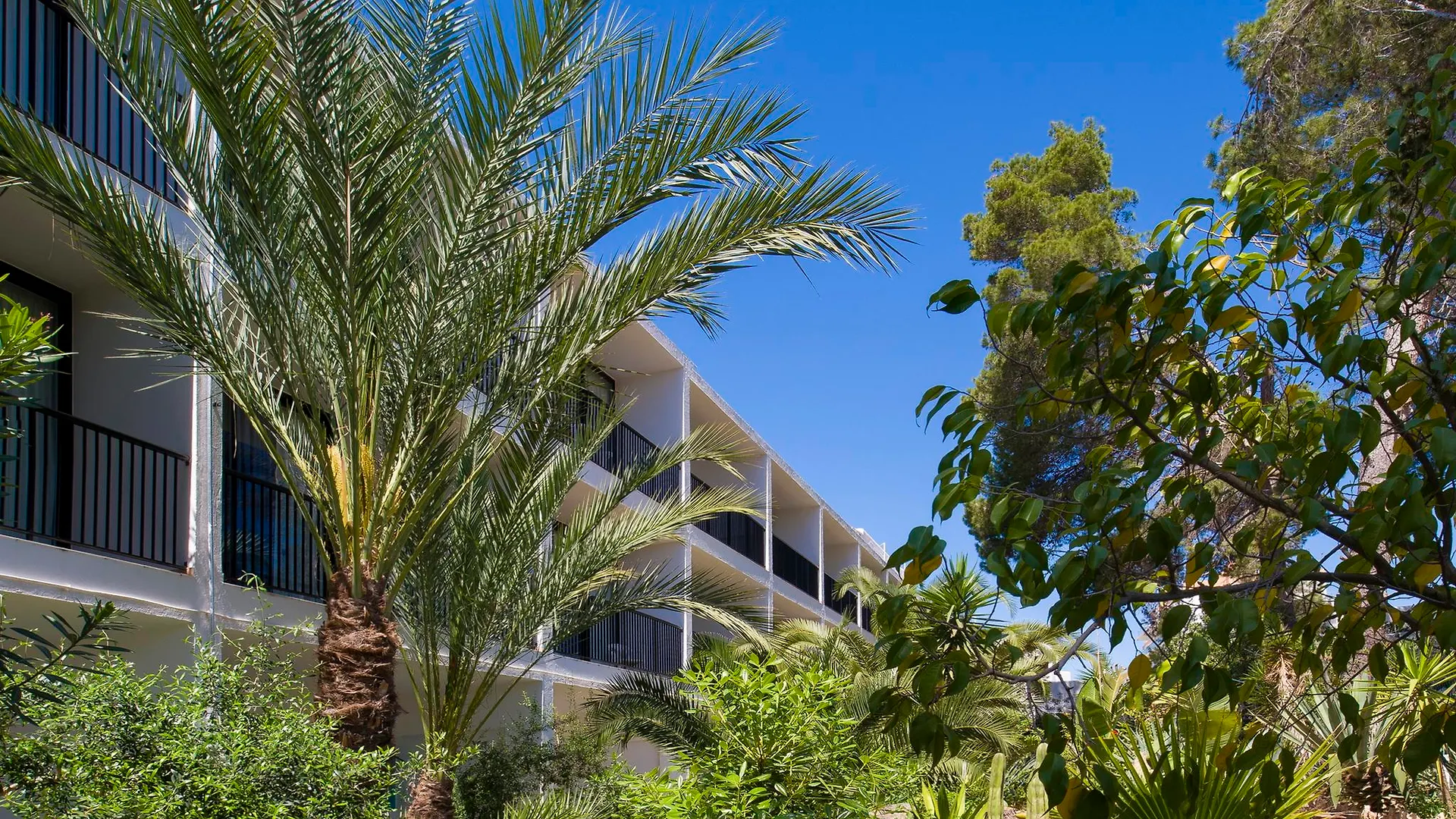 Hotel Osiris Ibiza Sant Antoni de Portmany Espagne