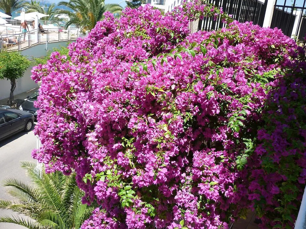 Hotel Osiris Ibiza Sant Antoni de Portmany